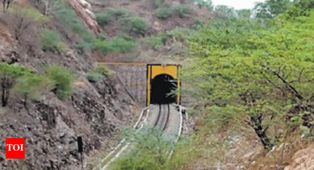 Rajasthan's longest heritage tunnel to get facelift India News