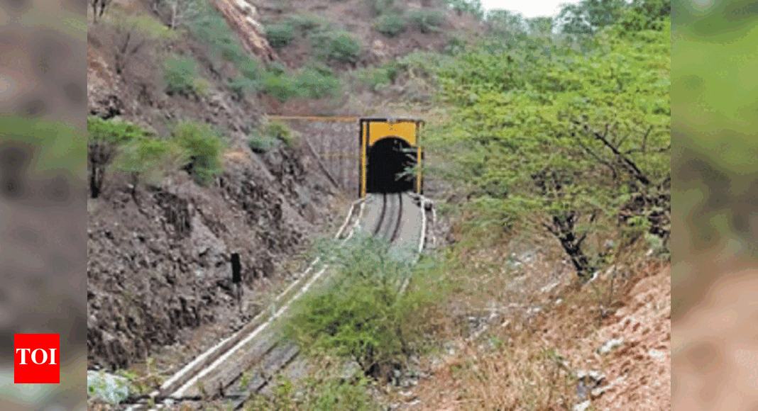 Rajasthan's longest heritage tunnel to get facelift India News