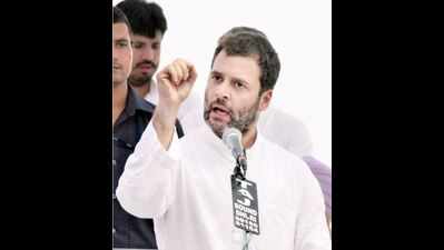 Rahul should have paid us another visit: Tappal farmers