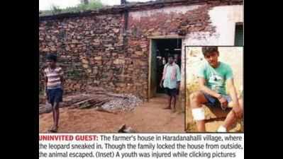 Leopard enters villager's house at night, escapes as family sits guard