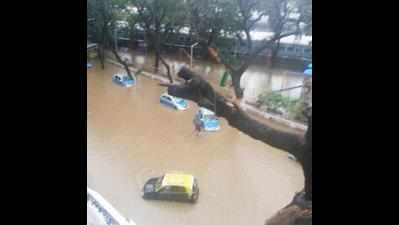 Heavy rain leads to flood-like situation in Karauli, Rajasthan