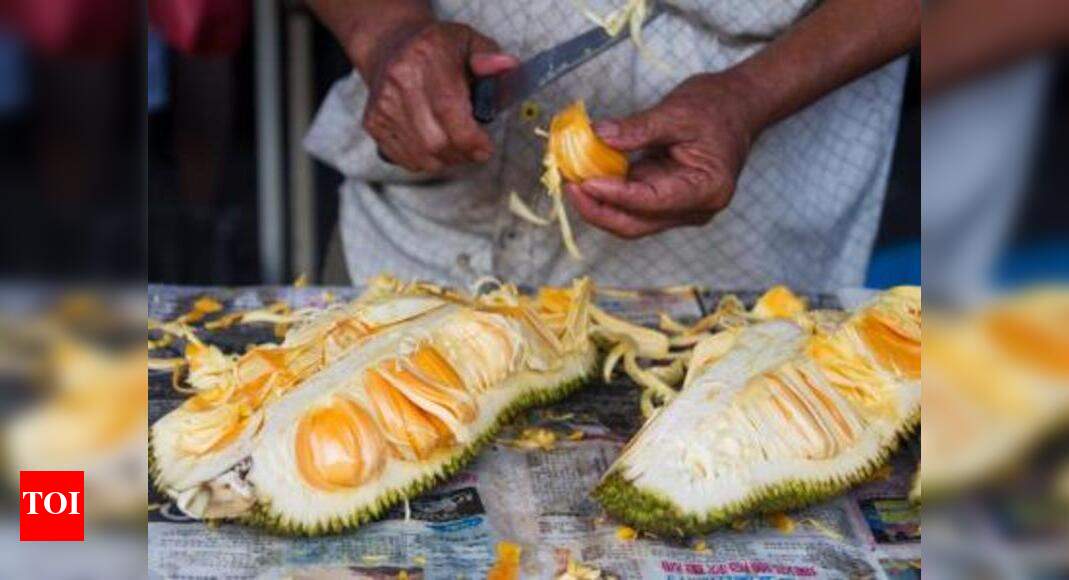 Want coffee without caffeine? Jackfruit seed has the answer Mangaluru