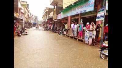 Provide relief in flood-hit areas: Raje tells minister