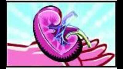 Donor who wasn’t paid Rs 10L blew lid off scam Mumbai News - Times of