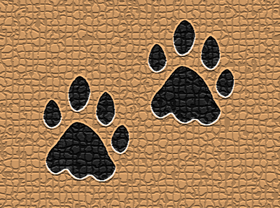 Pug marks of sloth bears create panic in Coonoor | Coimbatore News - Times of India Pug marks of sloth bears create panic in Coonoor | Coimbatore News - Times of India