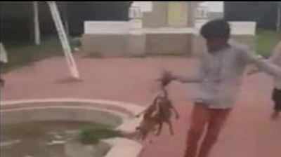 Youngsters burn alive three puppies in Hyderabad, video goes viral on social media