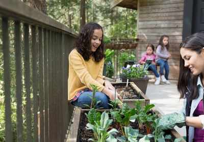 Set up your own terrace vegetable garden