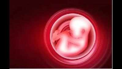 Maharashtra woman moves Supreme Court to abort 'abnormal' 24-week-old fetus