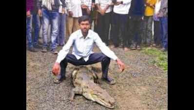 Man held for photo on crocodile's back
