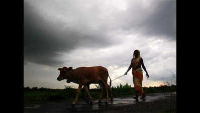 Monsoon to pick up across several regions: IMD