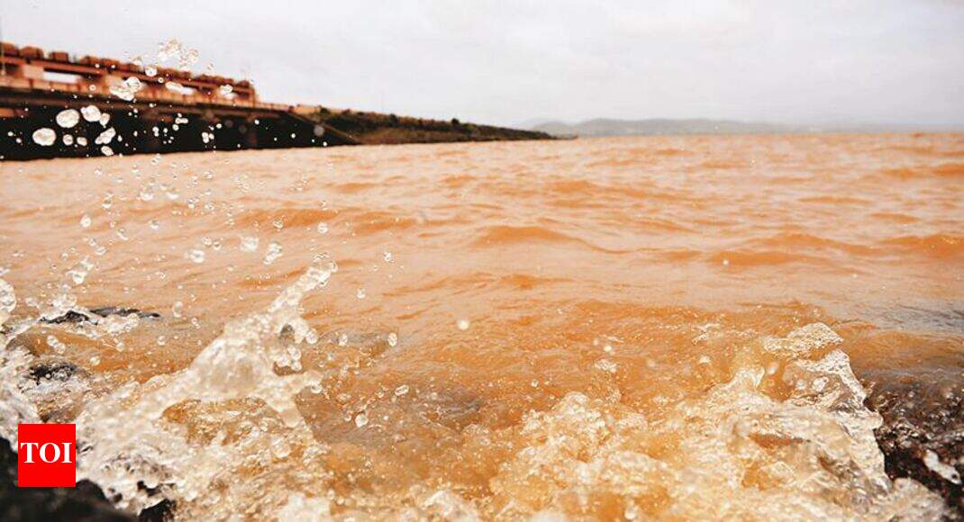 Nashik dams boost Jayakwadi stock Nashik News Times of India
