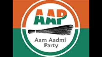 Lawyer files petition against AAP MP