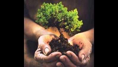 Forest department to plant native species in forests by Noyyal
