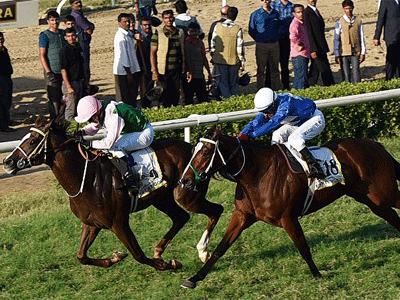 St. Leger at Pune may be opened for older horses