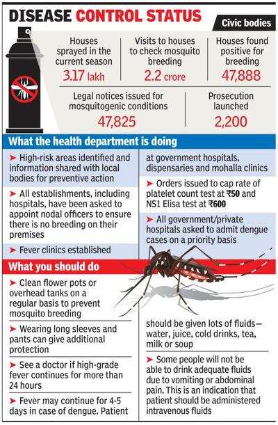 Girl dies, could be dengue’s 1st kill this year | Delhi News - Times of ...