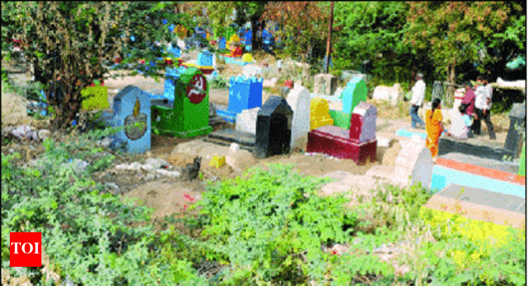 No boundary walls for 27 burial grounds in Chennai Chennai News