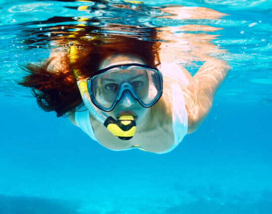 Learn how to dive or snorkel