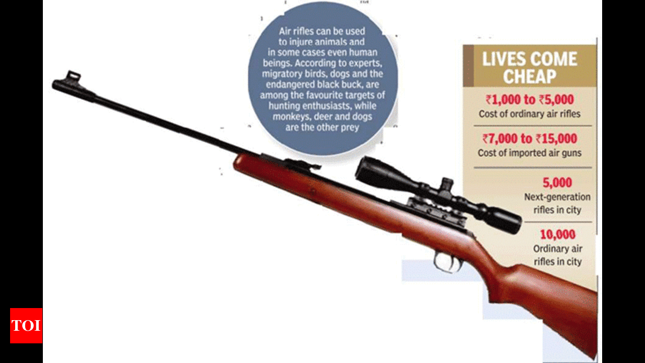 Gunning for trouble: Sale of air rifles booms
