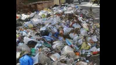 Three days on, no one to pick up garbage in Mohali