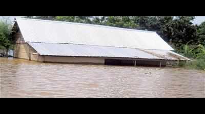 Five more die in Assam floods, toll touches 20