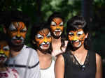 World Tiger Day celebration