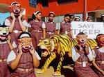 World Tiger Day celebration