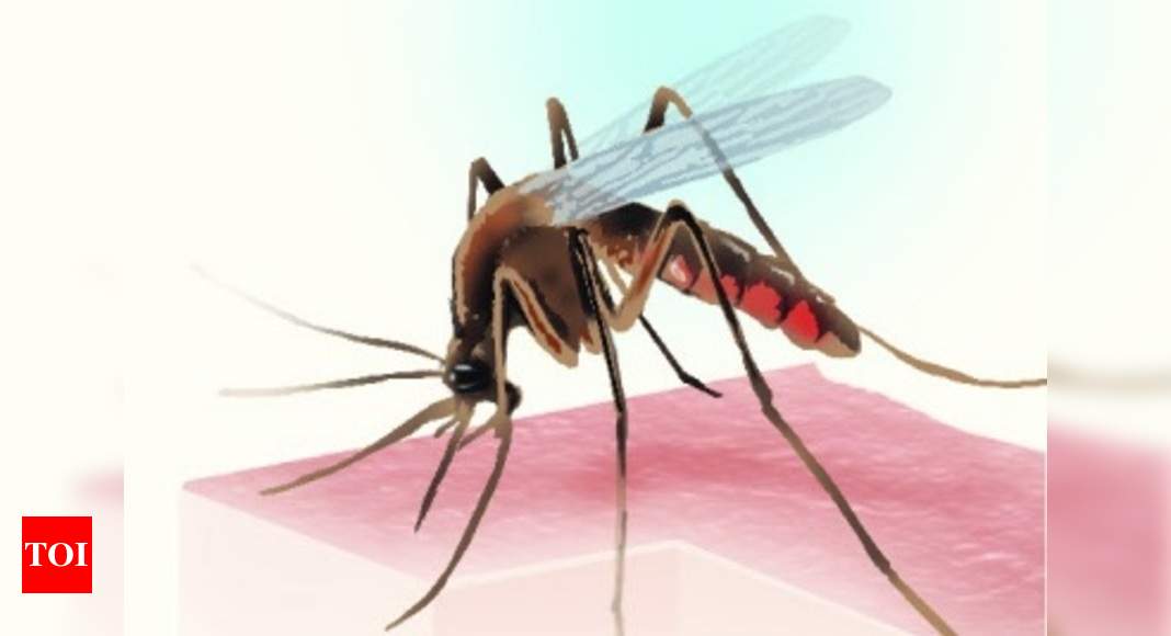 Vector-borne diseases killed 148 people lives this year | India News