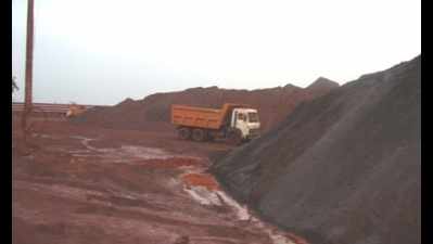 Mining company misled Centre to get nod
