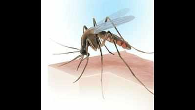 119 dengue cases last month, says report