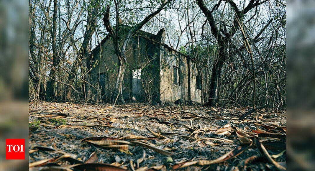 Spooked out: City wakes up to paranormal walks | Pune News - Times of India