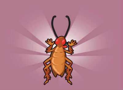 Cockroach milk has 3X more energy than buffalo milk - The Times of India