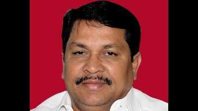Congress MLA sought Vidarbha statehood, CM tells House