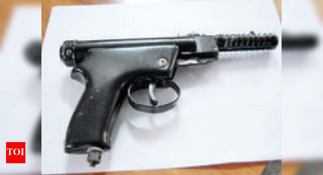 Government makes licence mandatory for air guns India News Times of