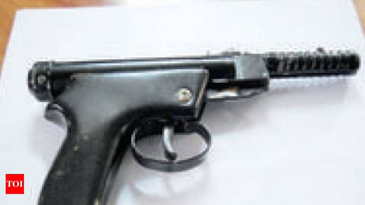 Government makes licence mandatory for air guns | India News - Times of  India