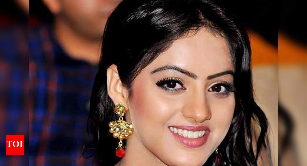 Deepika Singh aka Sandhya of Diya Aur Baati Hum celebrates Teej - Times ...
