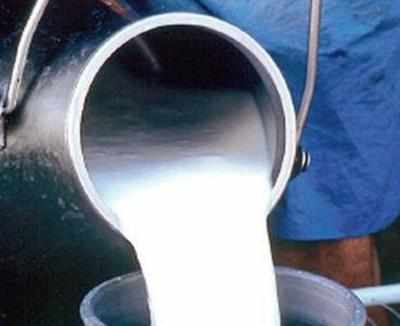 Supreme Court favours life imprisonment for milk adulteration