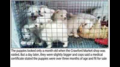 `Cops let shop switch puppies to escape law'