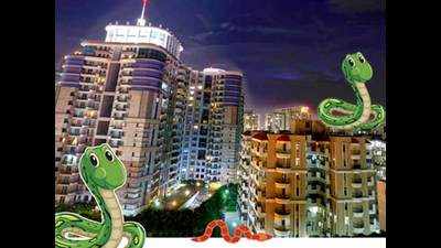 Snake sightings in Gurgaon go up by 60% during the monsoon