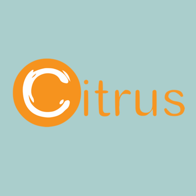 South Africa’s Naspers set to buy Citrus Pay for $180m