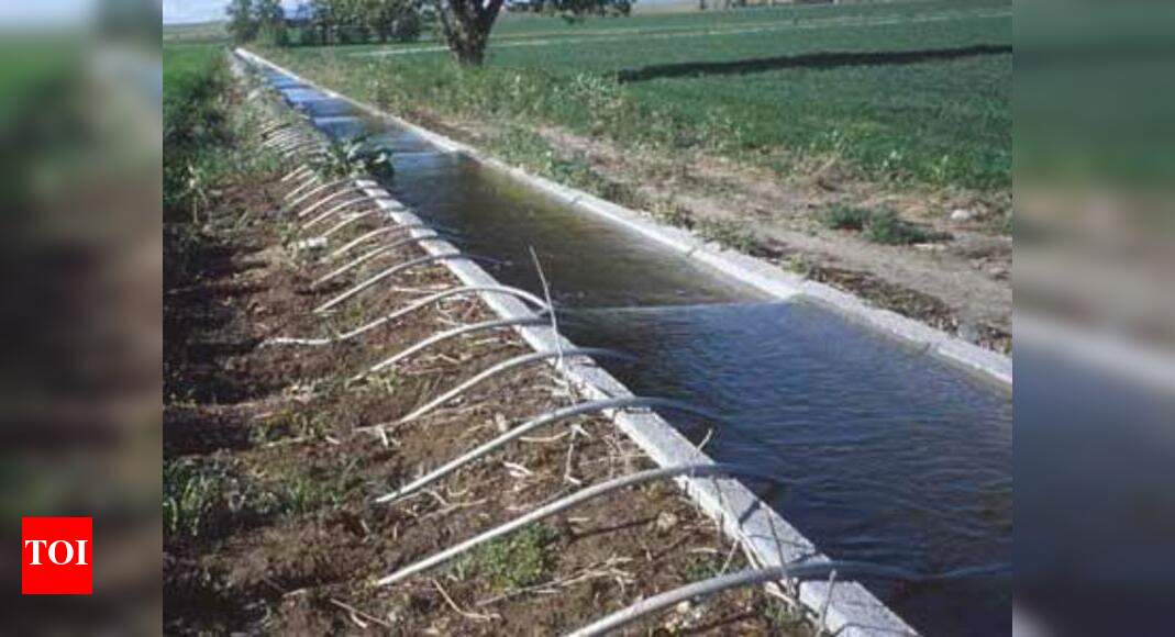 Six lift irrigation schemes planned Jaipur News Times of India