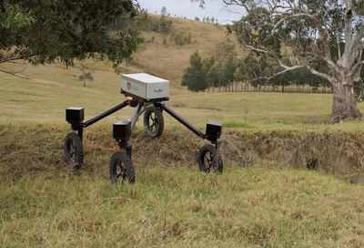 This 'Swagbot' can round up cattle and track their health