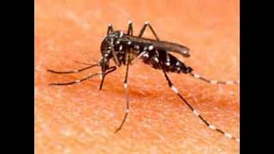 Five more test postive for dengue