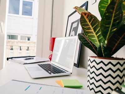 5 ideal table top plants to make your work desk lively