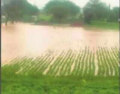 Farmers staring at bleak future | Jaipur News - Times of India