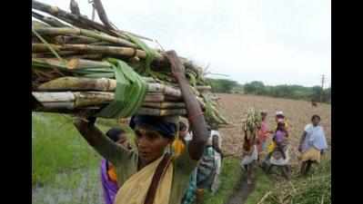 Cane price fixed by state must be legally binding: PMK