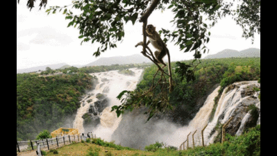 Unexplored for long, Karnataka wakes up to the benefits of film tourism