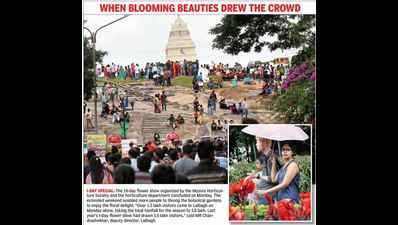 Honeybees attack four visitors to Lalbagh on last day of flower show, one critical
