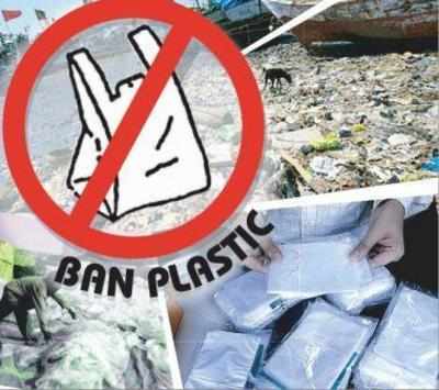 Plastic, quarries banned in Wayanad