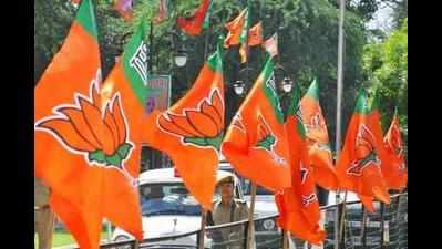 BJP holds Tiranga Yatra in state