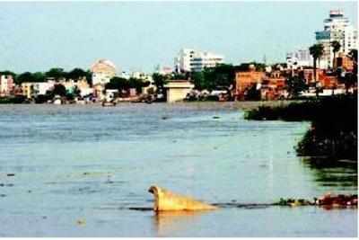 Efforts of Centre, UP to clean Ganga have had 'zero' results: NGT